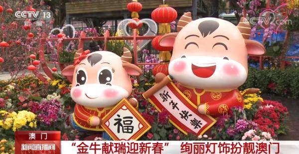 澳门金牛网金牛版论坛，探索与解析，澳门金牛网金牛版论坛深度探索与解析