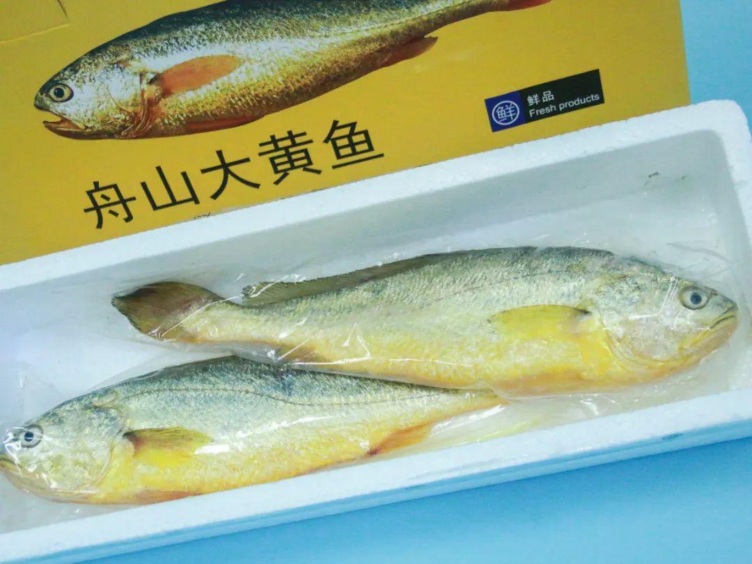 一斤以上大黄花鱼的价格分析，一斤以上大黄花鱼价格走势分析