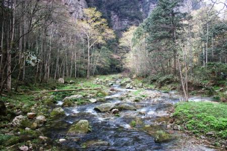 曹敬庄的索溪峪的野——探索自然之美的独特魅力，曹敬庄笔下的索溪峪，自然之美的独特魅力探索
