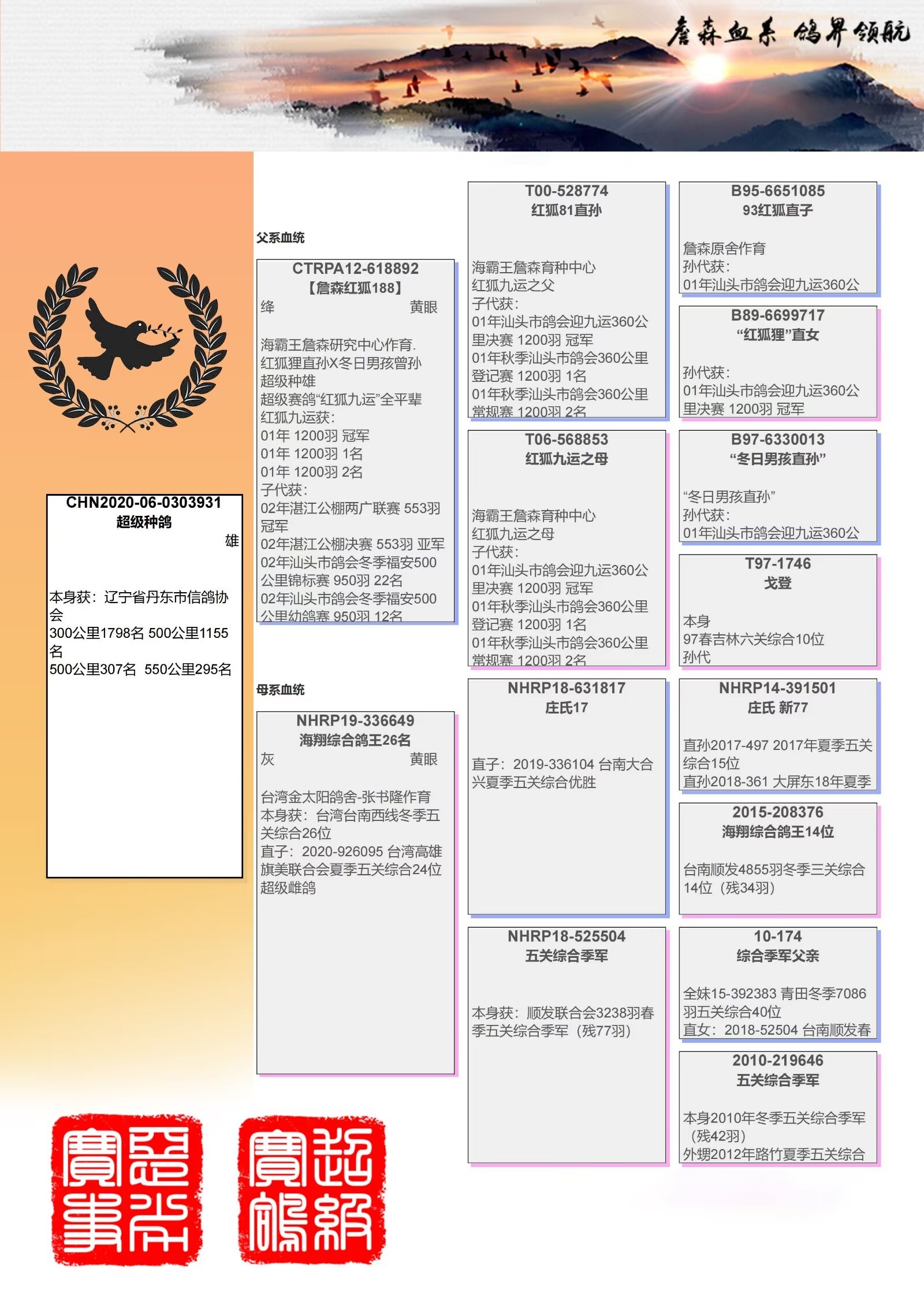 良武澳写结海奖军，探寻背后故事与荣誉背后的力量，良武澳荣获结海奖军背后故事与荣誉力量的探寻