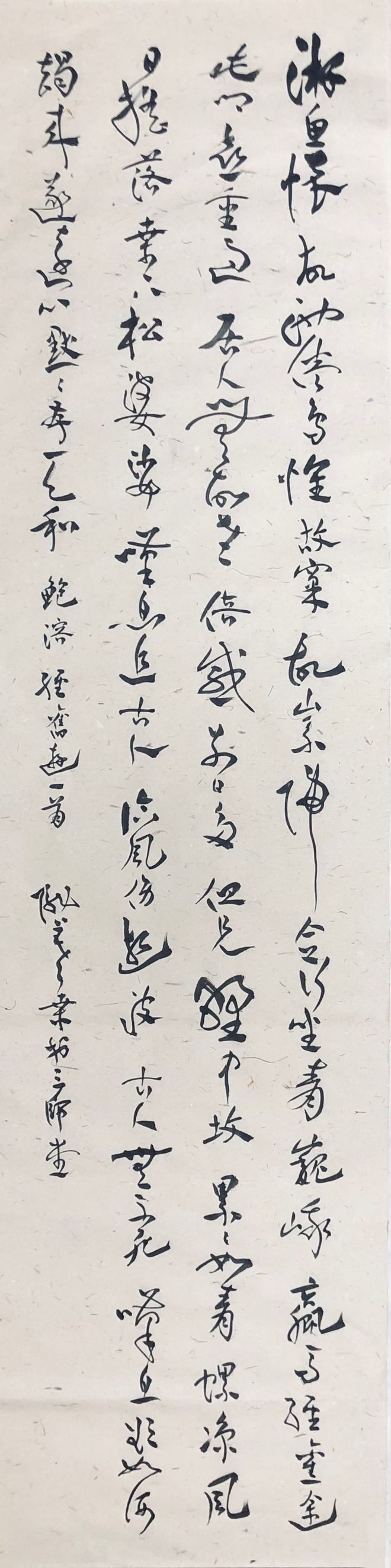仗中2乌的新腾飞，今日集结与未来展望，仗中2乌，新腾飞之际的集结与未来展望