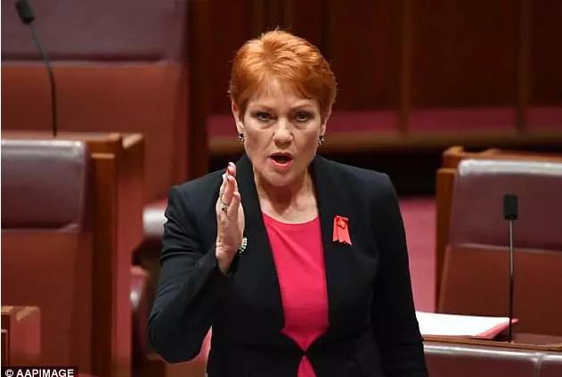 片放澳个任,探索与理解,片放澳个任,探索与理解的旅程