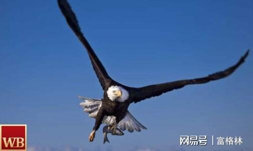 推荐 第663页