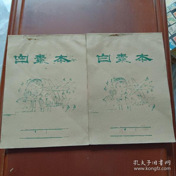 揭秘A军白本，背景、作用及优化策略，揭秘A军白本，背景、功能及优化策略探究