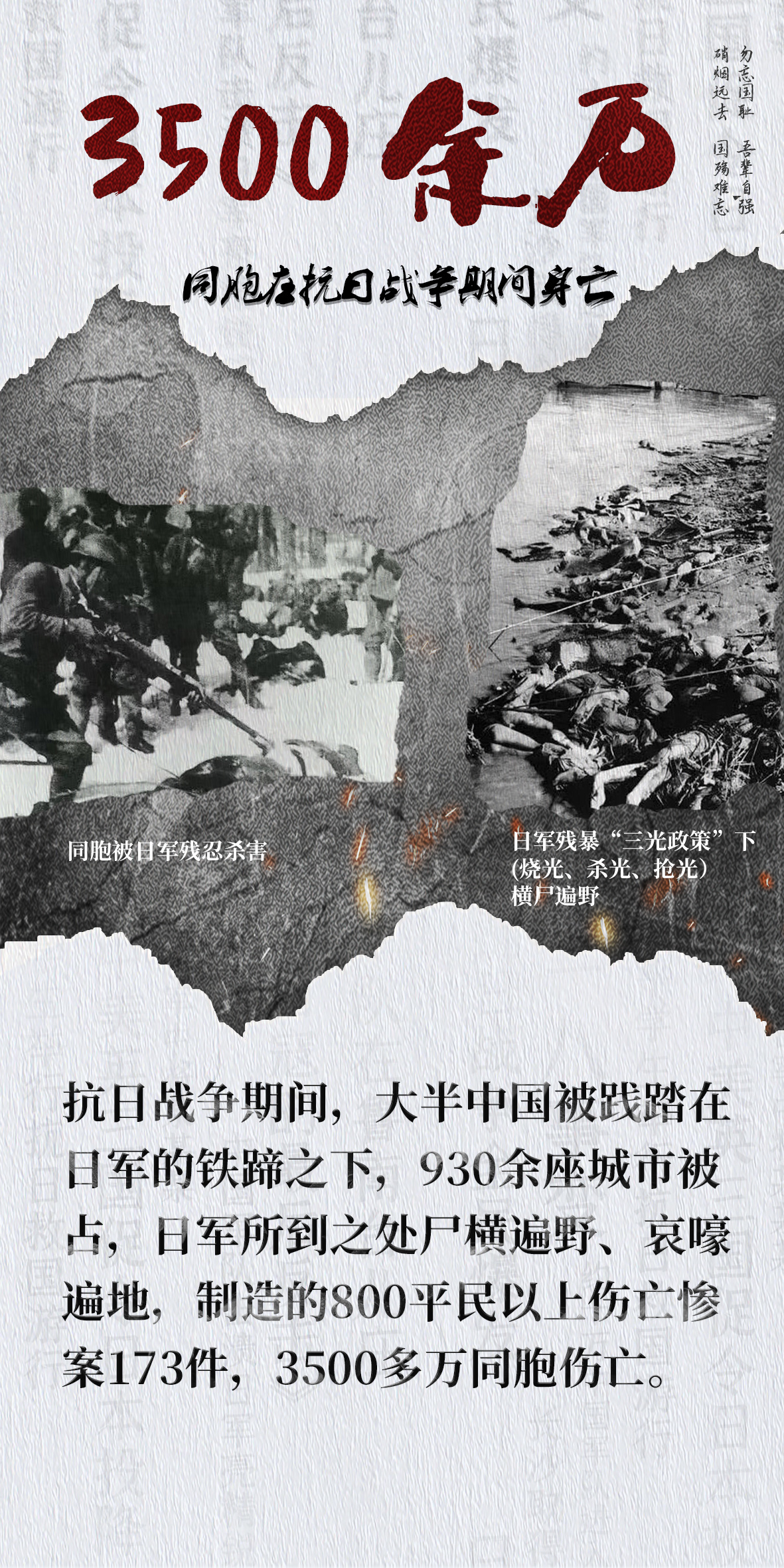 中一东陆与特一数界，深度解析二者的关联与差异，中一东陆与特一数界，关联与差异深度解析