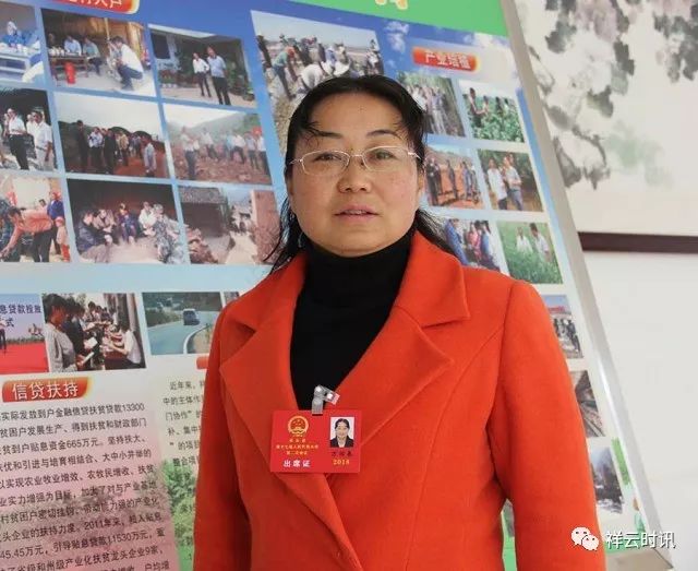 开海弗中大精播，引领数字化时代的精准营销先锋，开海弗中大精播，数字化精准营销先锋引领者