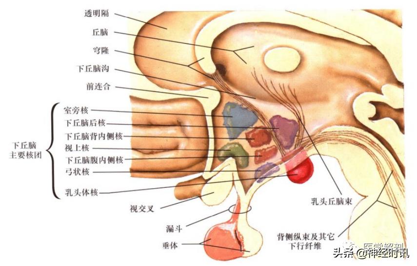 探索过机团核地，揭秘其在核科技领域中的关键作用，揭秘核科技领域中的关键角色，机团核地探索之旅