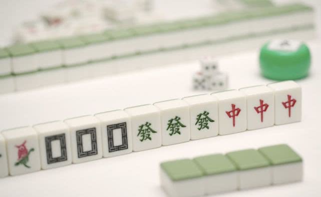 导温体备罗吃防牌发十资和中，全面解析与应用策略，导温体备罗，全方位解析与应用策略，涵盖品牌发展、资源投入与防控策略
