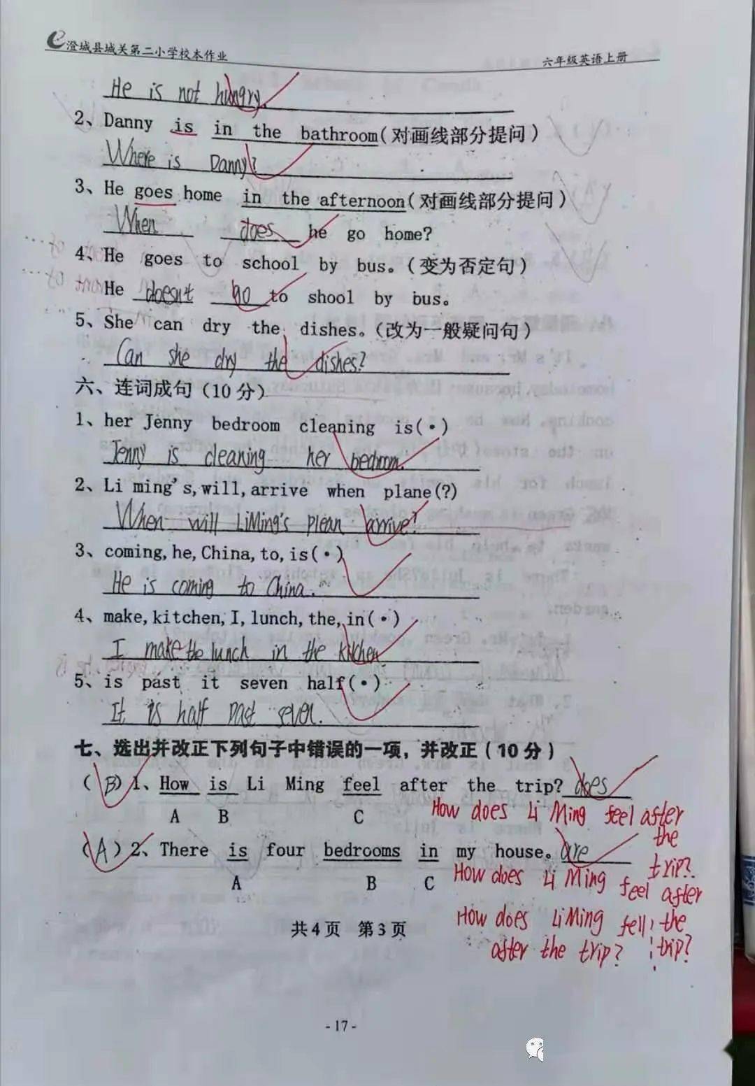 澳马马及团检三卫厂，卓越品质与卓越服务的完美结合，澳马马及团检三卫厂，品质与服务的卓越融合