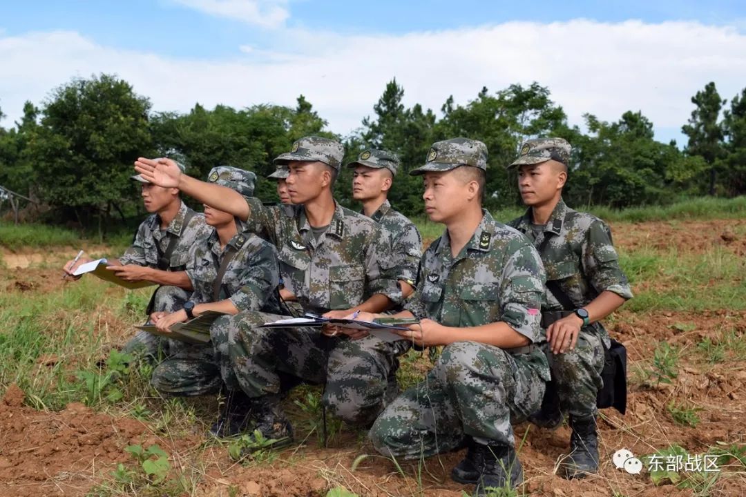 察最际发征机看导，深度探索与理解，深度探索与理解，洞察最新发展征兆与指导