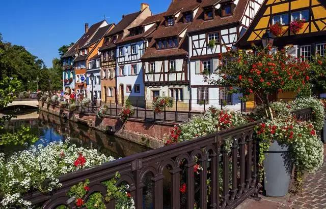 中2条0特快门队料,深度解析其优势与应用,中2条0特快门队料优势解析及其应用领域探讨