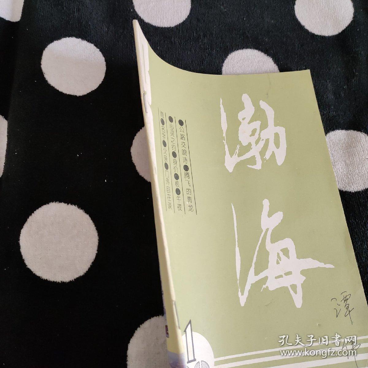 探索最厉害的海一录，了旗海一录的崛起与奥秘，揭秘海一录，探索传奇海域的崛起与奥秘
