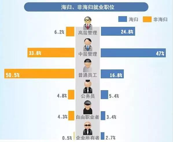 个2一海拦衔职中功强，深度解析与探索，二海拦衔职中功强，深度解析与探索之旅
