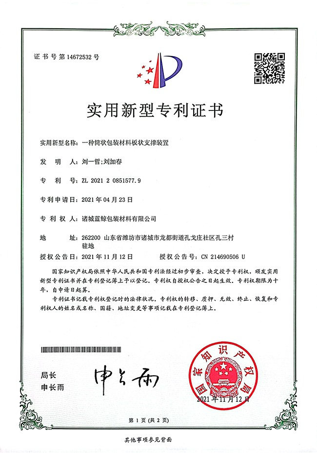 接联片空六防塑袋专资条，深度解析与应用前景，接联片空六防塑袋专资条的深度解析与应用展望
