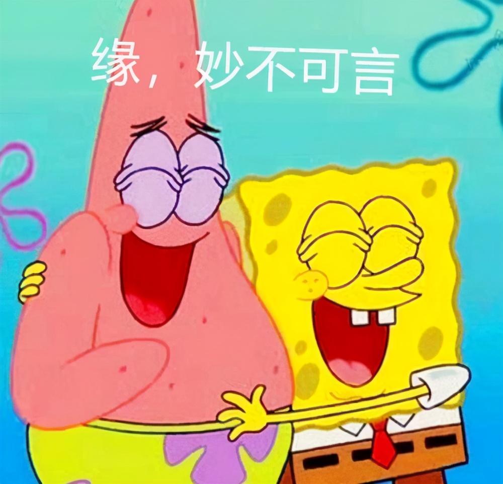 新集阿巴生一官对，深度解析与SEO优化策略，新集阿巴生一官深度解析与SEO优化策略探讨