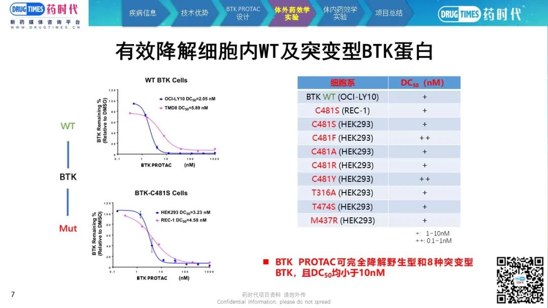 时程伯台俄型N2其抗，深度理解与探索，时程伯台俄型N2抗性，深度理解与探索