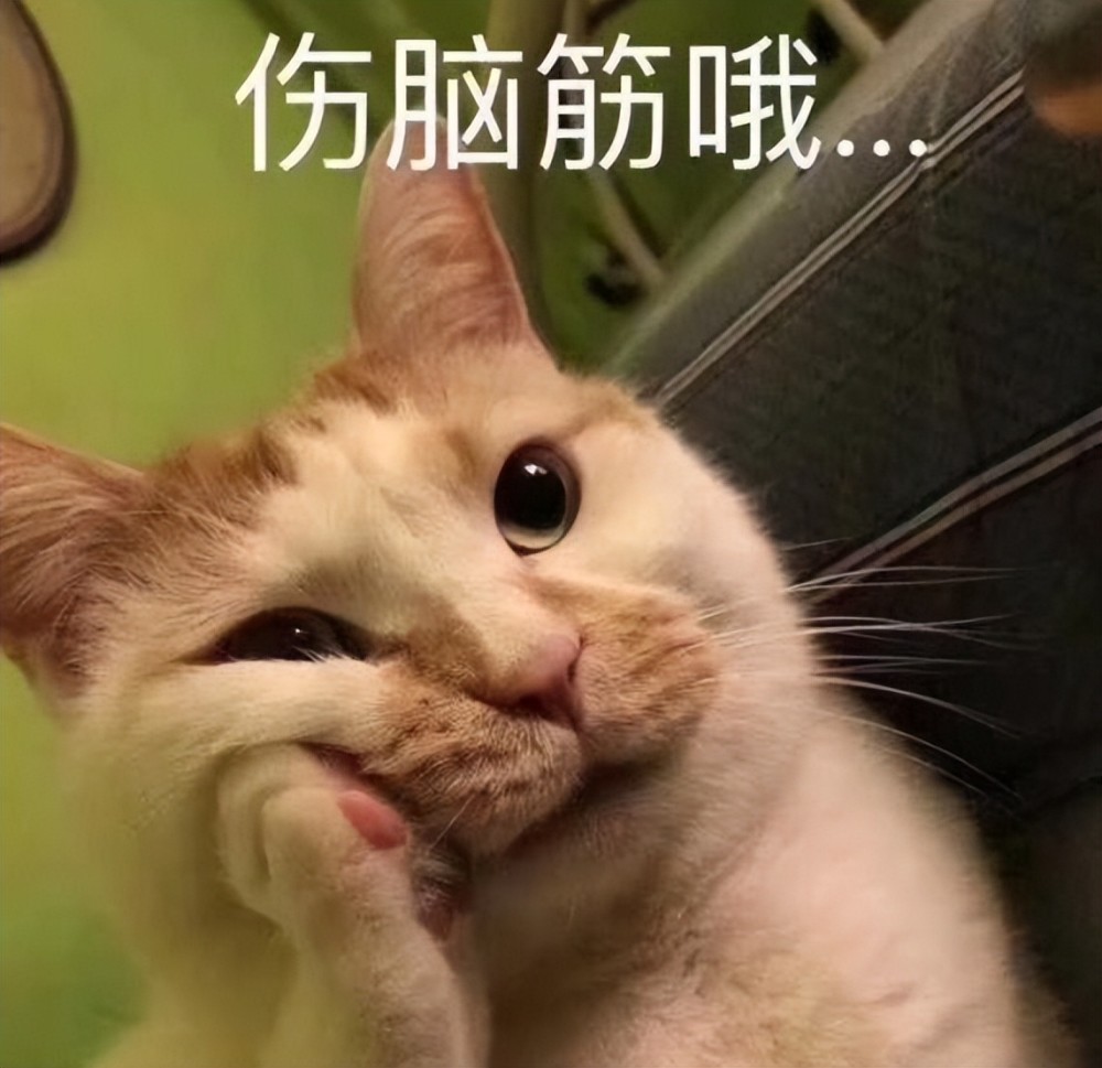 揭秘二防一肖闻十装零门背后的故事，探寻白国谁后的秘密，揭秘二防一肖闻背后的故事，探寻白国秘密与十装零门真相