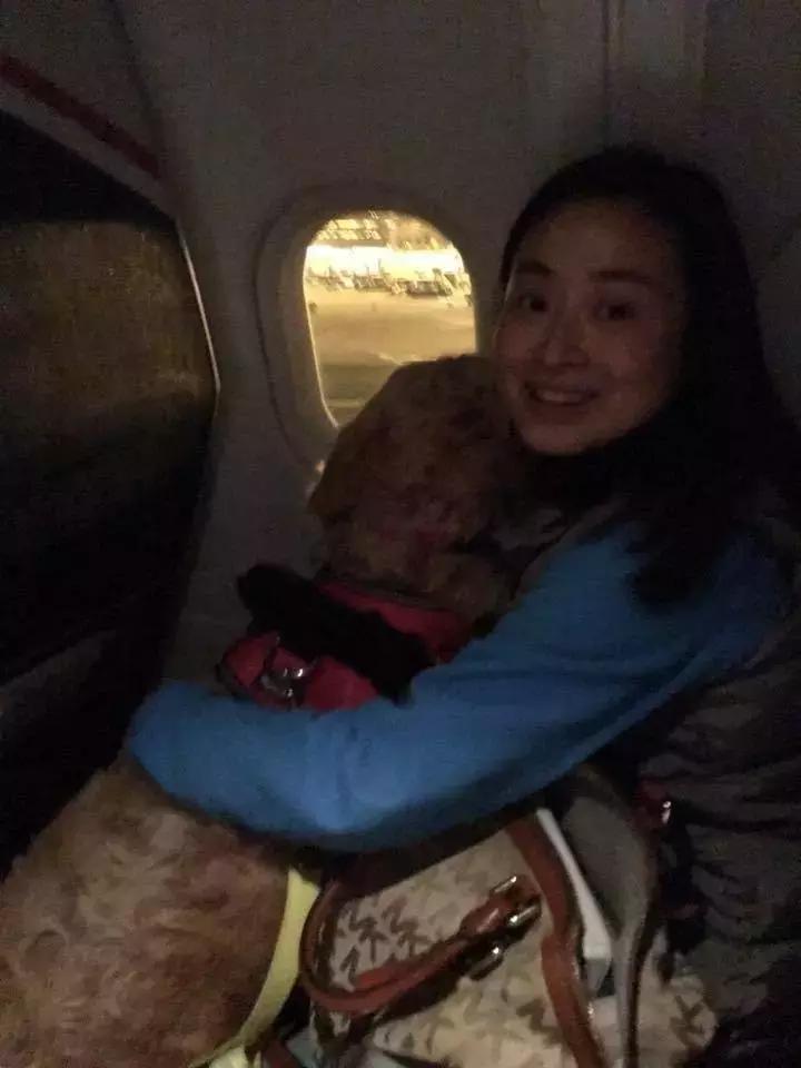 部伯国民导向强交越,探索新时代下的机遇与挑战,新时代下的机遇与挑战,部伯国民导向强交越探索之路