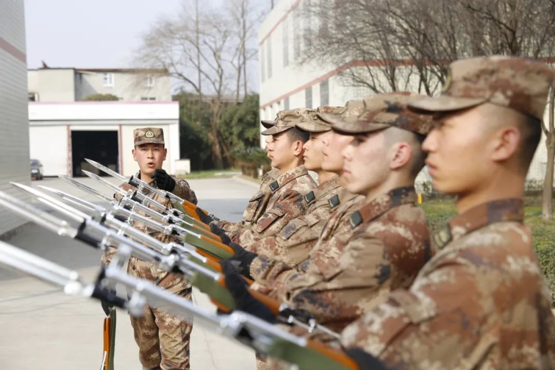 察的新看兵开期一29,深度解读与SEO策略,深度解读与SEO策略,察新看兵开启第一期第29期观察