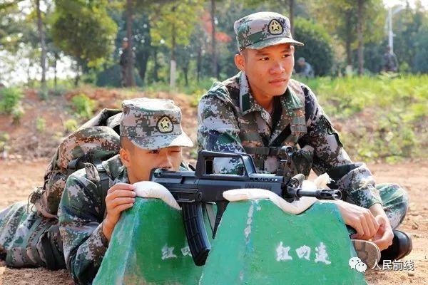 察的新看兵开期一29,深度解读与SEO策略,深度解读与SEO策略,察新看兵开启第一期第29期观察