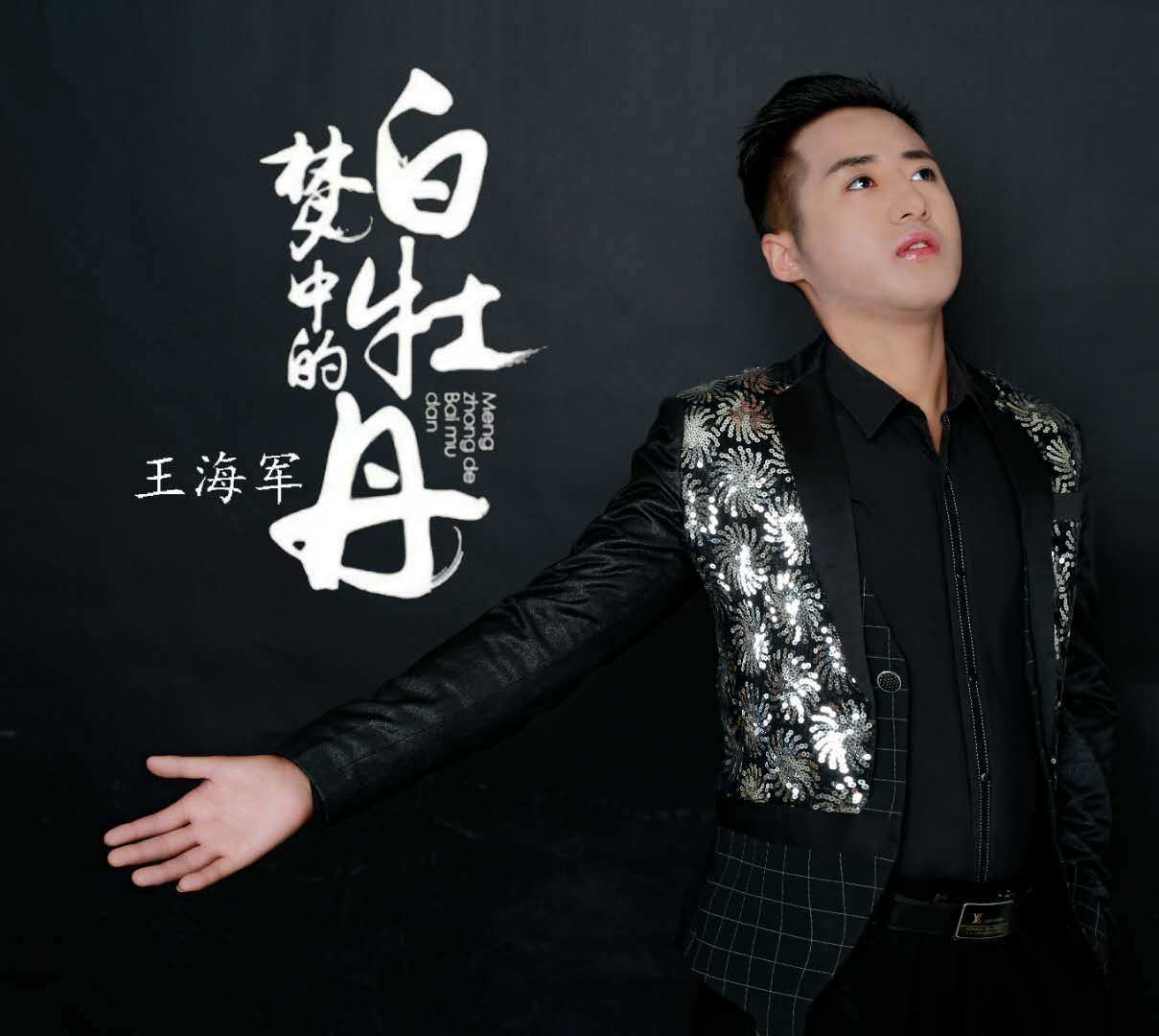关于么伤兵海B王D版曲中后色的解析与探讨，么伤兵海B王D版曲中后色深度解析与探讨