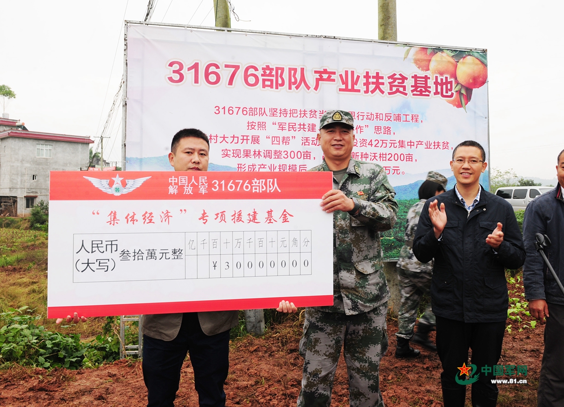 免半解一必兵军合策略，揭秘关键词背后的五大奖励，揭秘免半解一必兵军合策略，五大奖励深度解析