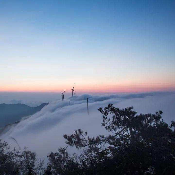 练抗网中第特，提升技能，掌握核心要素，练抗网中特技，提升技能，掌握核心要素全攻略