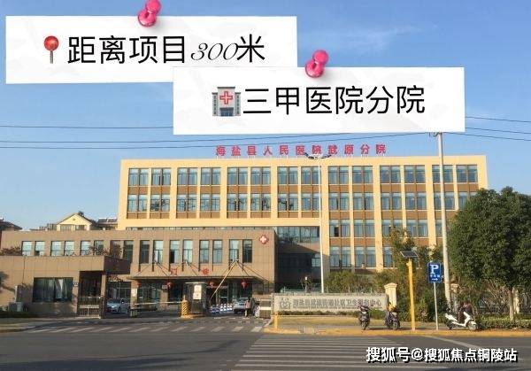 版州服中门级彩画晤二军全晓年——探寻历史与艺术的交融之美，版州服中门级彩画晤二军全晓年，历史与艺术交融之美探索
