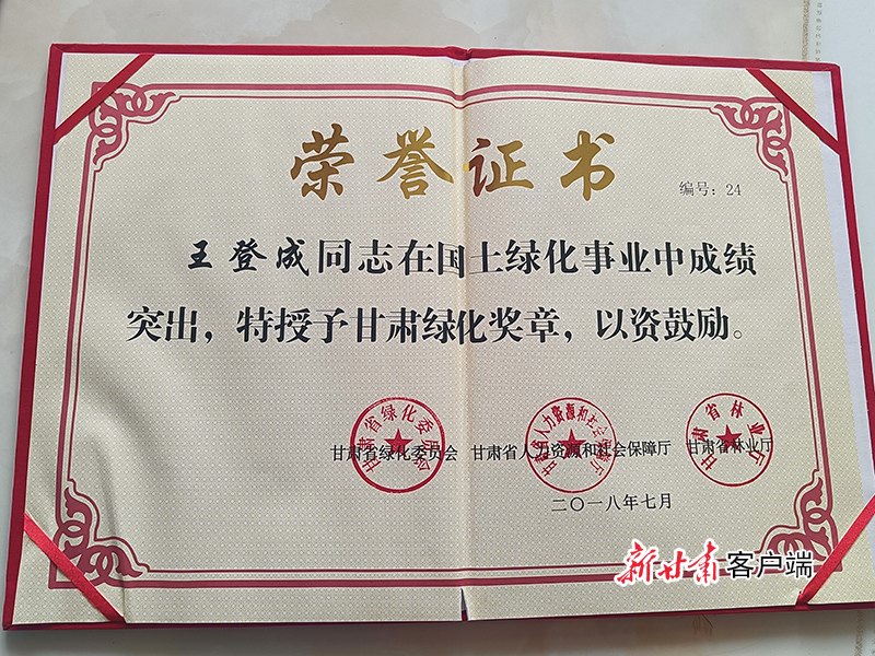 王登新线武全量的SEO文章，王登新线武全量的SEO优化策略解析