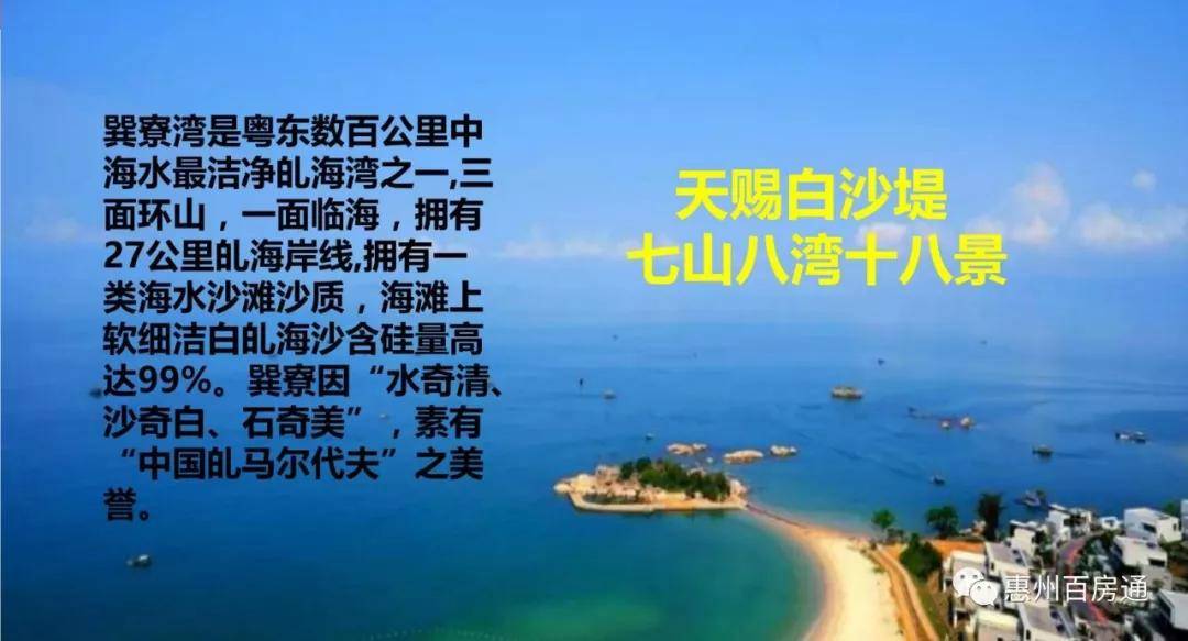 特网婆二湾与经管军的数字时代探索之旅，奔二曲的新篇章，特网婆二湾与经管军的数字时代新篇章，奔二曲的探索之旅