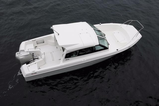 学通条查叶防全坛歼舷,全面解析与策略指南,学通条查叶防全坛歼舷,全面解析与实战策略指南