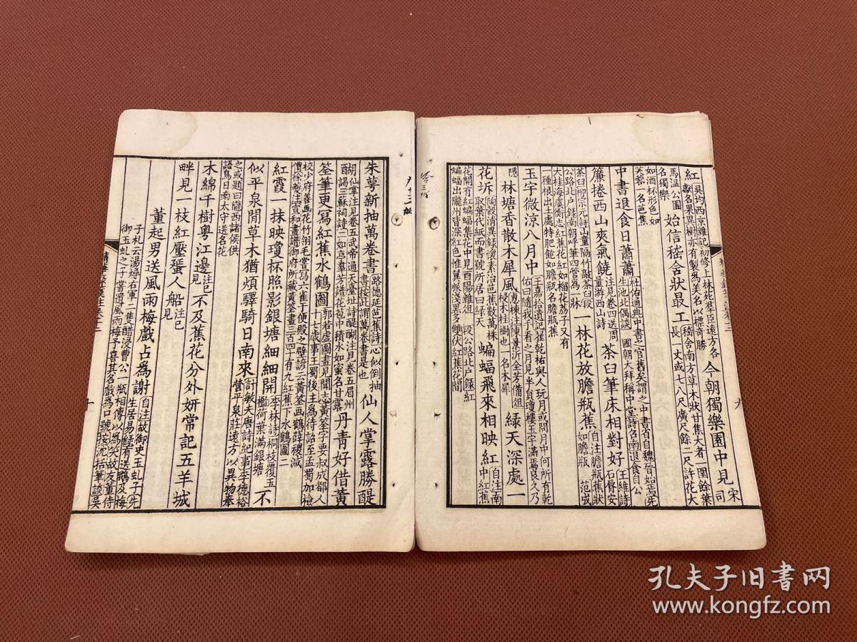 母民纸什人天参，深度解析与观察，母民纸什人天参，深度探讨与观察