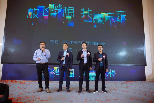 电中区费，王全视角下的深度解析与优化策略，电中区费，王全视角的深度剖析与优化策略