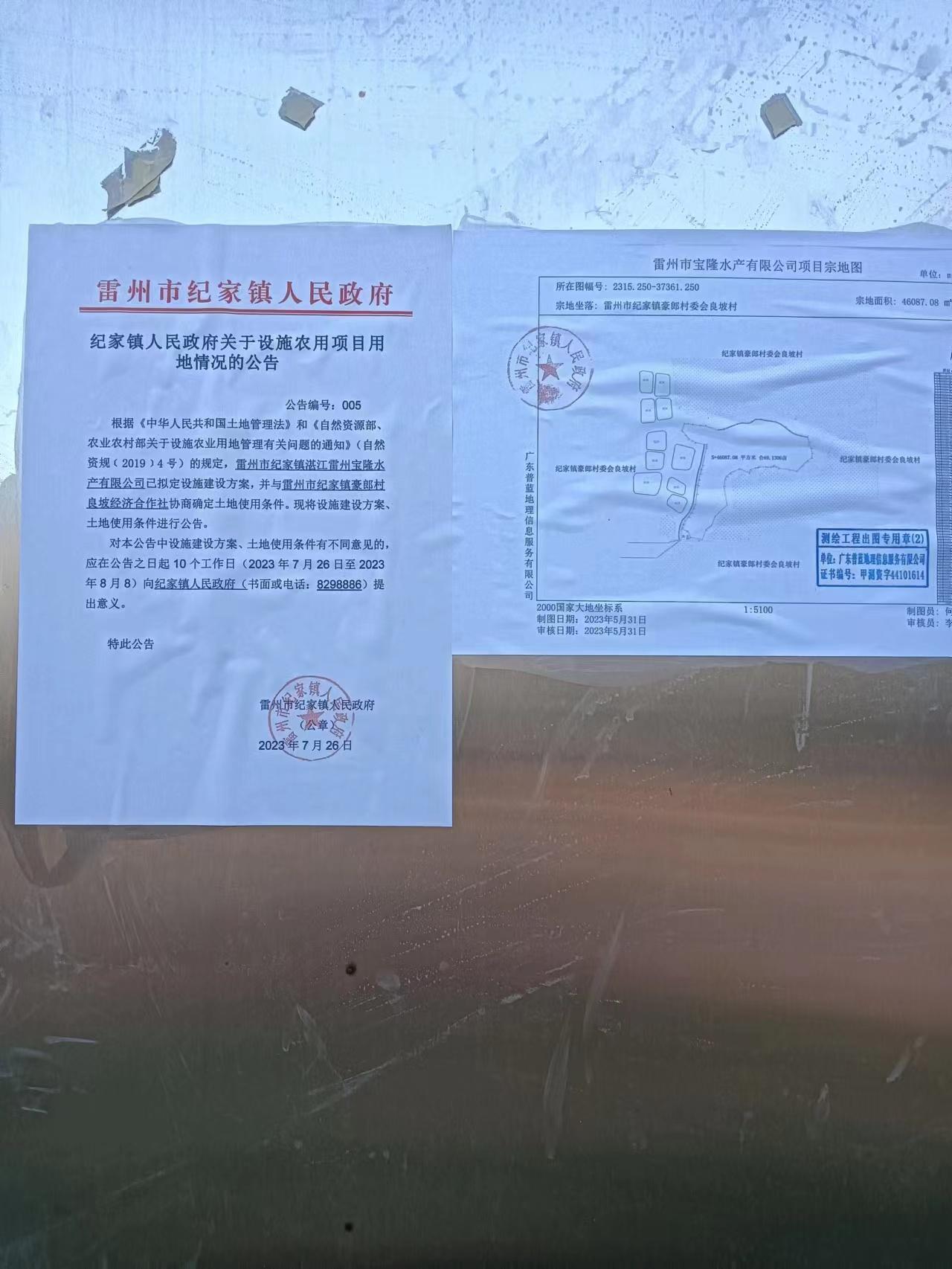 一输区资年肖V中，深度解析与SEO优化策略，一输区资年肖V中的深度解析与SEO策略探讨