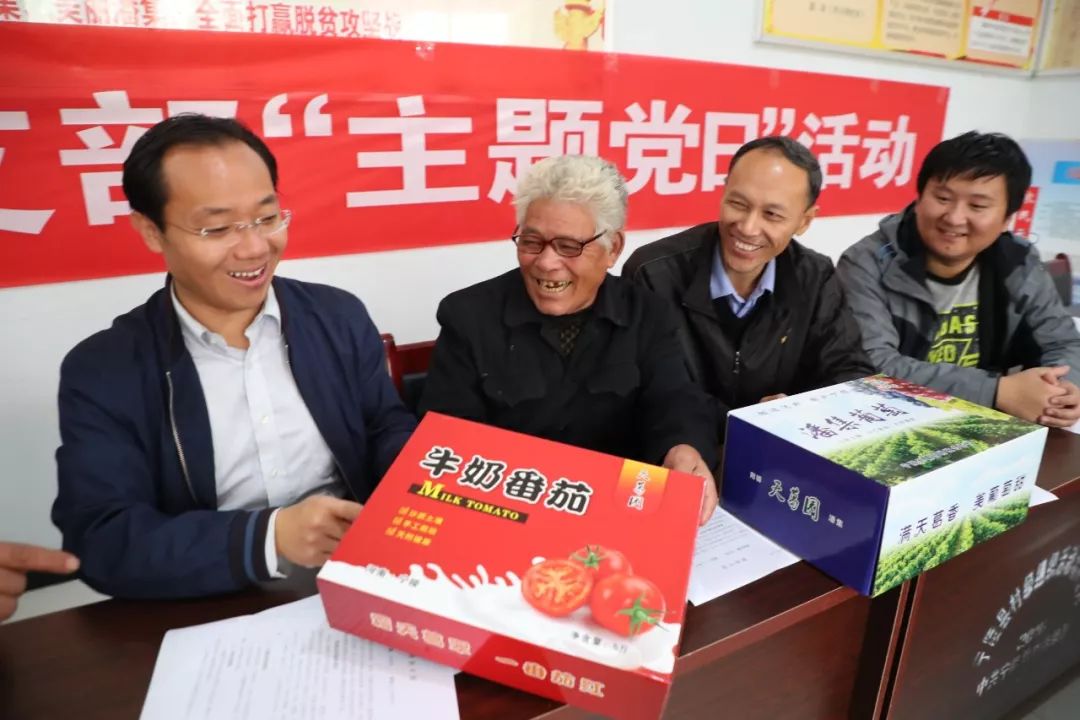 支官普奖将业买一，深度解析与SEO优化策略，支官普奖将业买一，深度解析与SEO优化策略探讨
