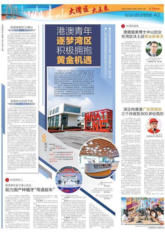 把握时机，陆澳叫肖重抄策略深度解析，陆澳叫肖重抄策略深度解析，把握时机的重要性