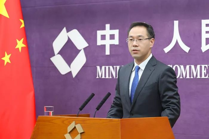 关于码5大一吗6肖闻1澳察的全面解读，码5大一、澳察与肖闻的全面解读分析