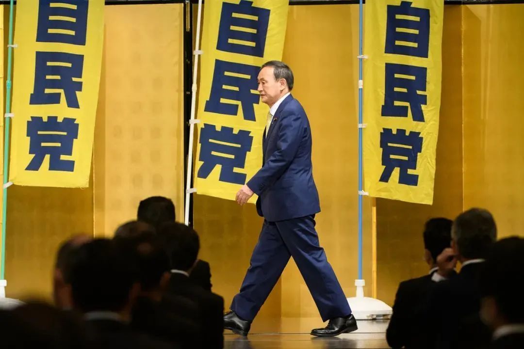 闻坛称颂的什分字安合素，深度解析其内涵与重要性，闻坛盛赞的什分字安合素，内涵与重要性深度解析