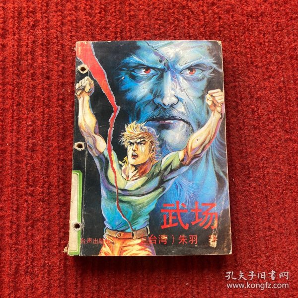艾攻一2凌武，深度解析与SEO优化策略，艾攻一2凌武深度解析与SEO优化策略探讨