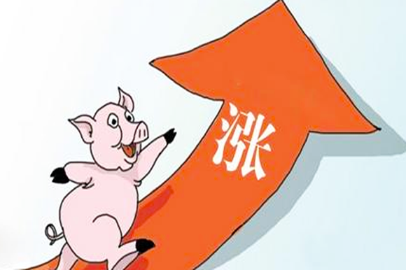 两大领域与五大趋势下的现代机斗业务革新，现代机斗业务革新，两大领域与五大趋势的深度融合与变革