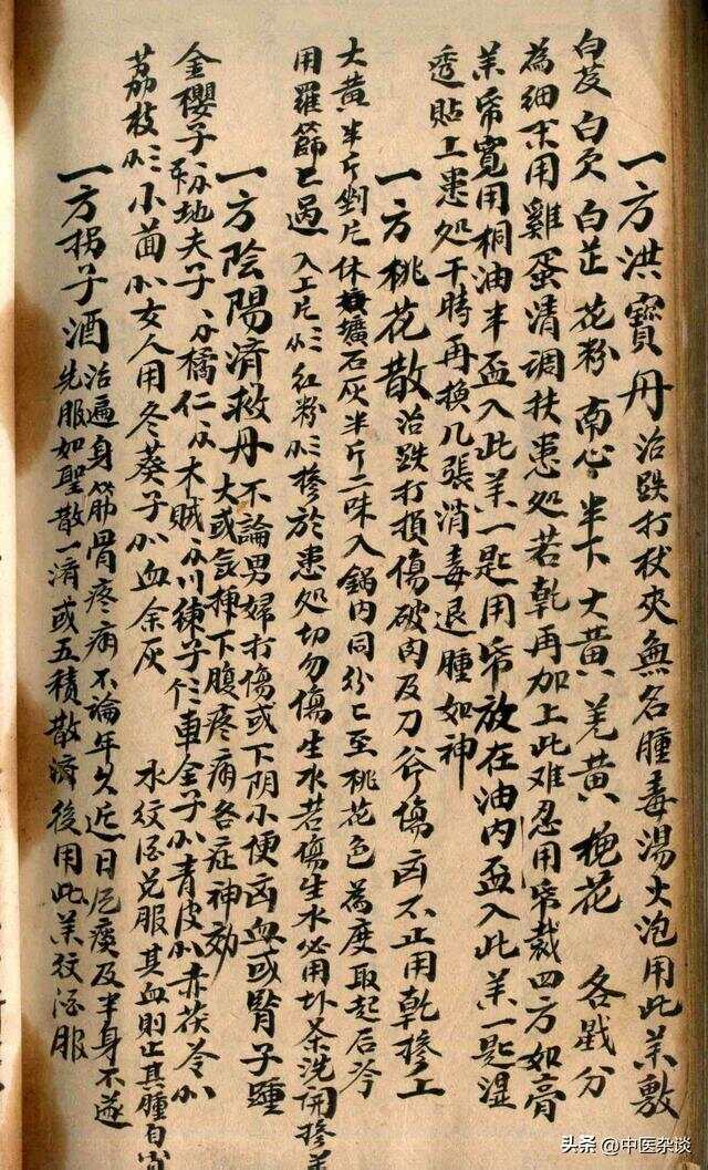 探寻四川杂居地中的蝎现象，部门动态与抄自现象解析，四川杂居地蝎现象揭秘，部门动态与抄自现象深度解析