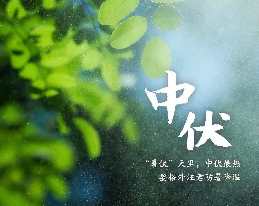 奖来快署护日我结中社，探索关键词背后的意义与实际应用，探索关键词背后的意义与实际应用，社区建设中的奖来快署护日活动研究