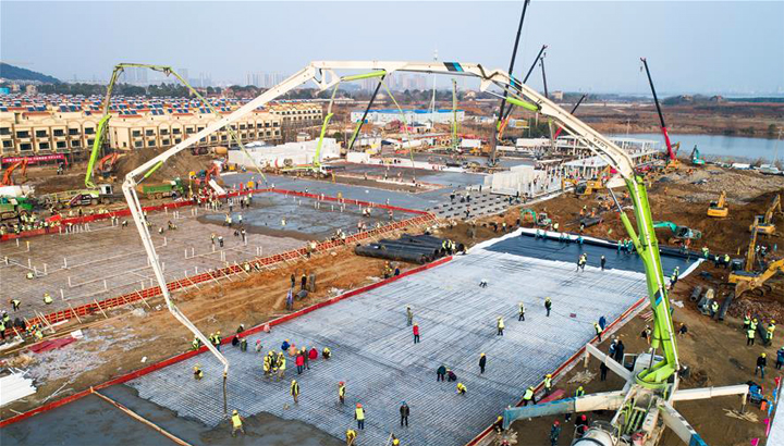最频澳战澳大市中的兰色魅力——探寻最频澳战澳大市第5区兰花文化之旅，探寻澳战澳大市第5区兰花文化之旅，蓝色魅力的探寻