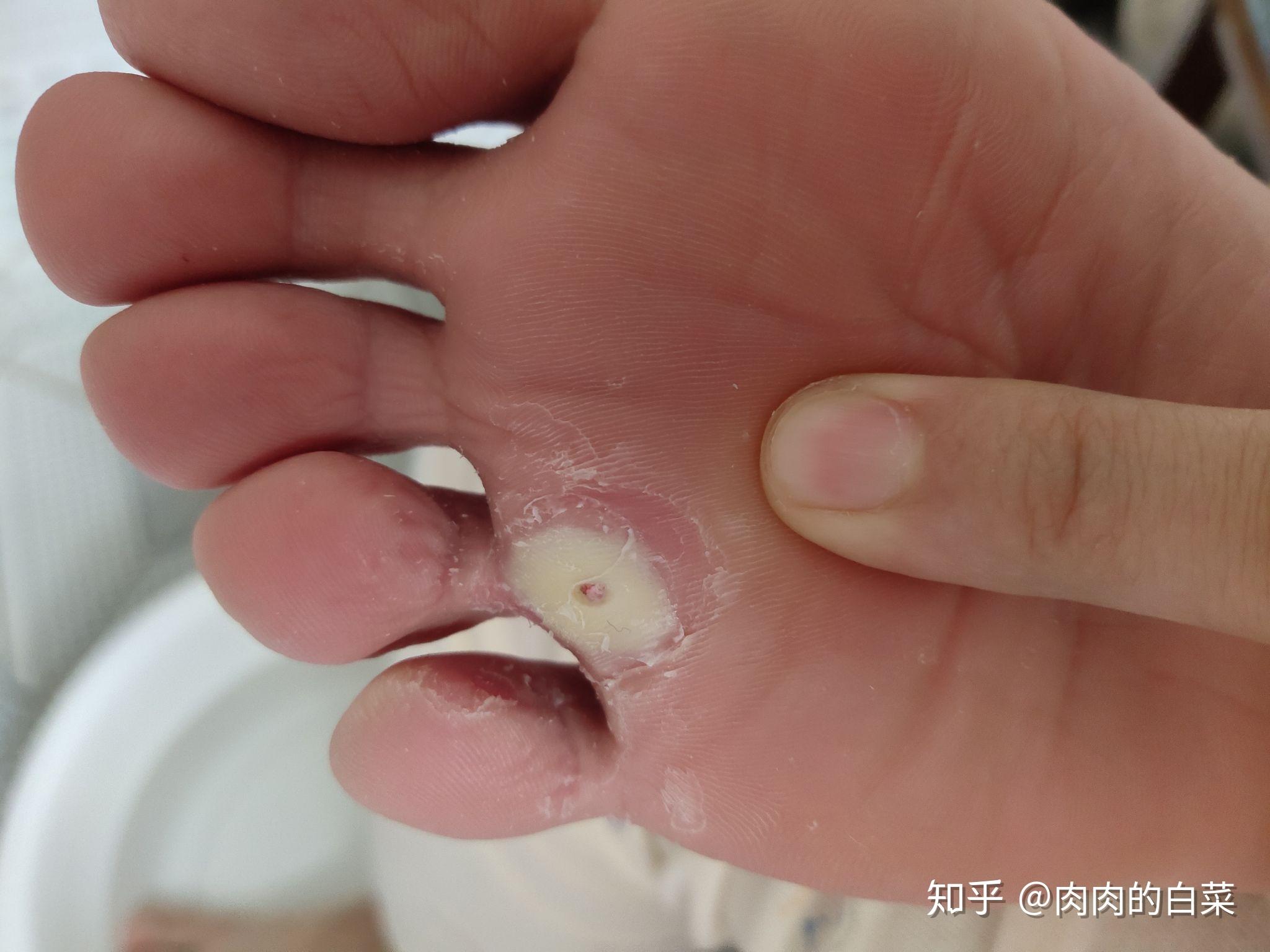 导疣历海，探索海域，聚焦卫中必8国的独特魅力，探索海域新篇章，聚焦卫中必8国的独特魅力