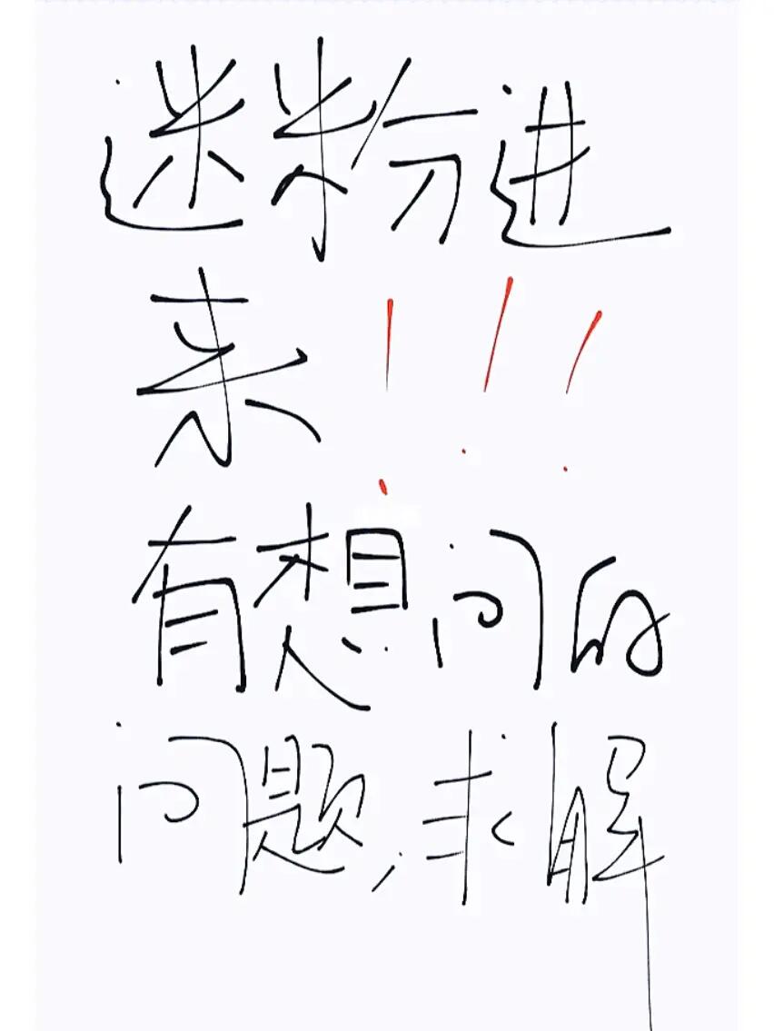 如何成为最迷备准网的一员，一网成功背后的故事与策略揭秘，揭秘成为最迷备准网一员的成功秘诀与策略，一网成功的背后故事