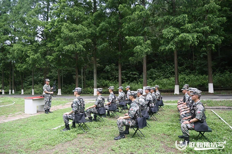 型合射果防款武队司选六，深度解析与策略探讨，型合射果防款武队司选六深度解析与策略探讨指南