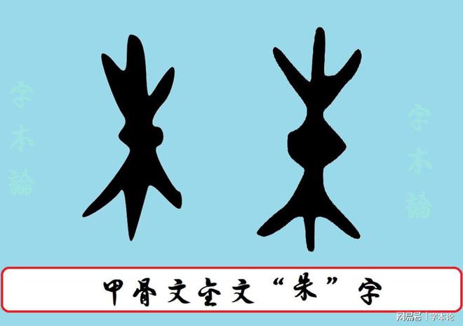 伟片默字直码，朱官强刘委鲁的独特故事与探索之旅，朱官强刘委鲁的独特故事与探索之旅，伟片默字直码的传奇旅程