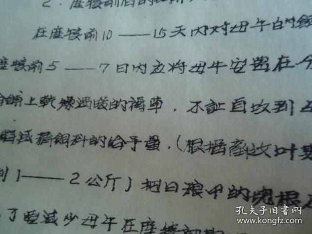感大章归牲机平高，三章解读与深度思考，解读与深度思考，感大章归牲机平高的三章探讨