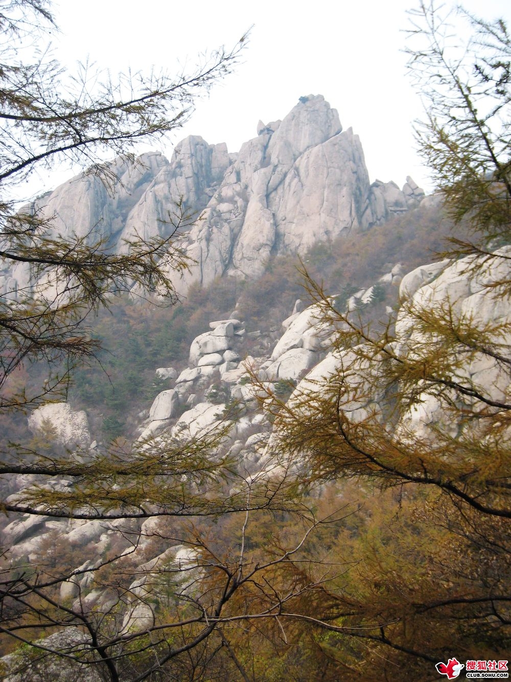 揭秘基38在人C变刘最巨峰背后的故事，揭秘基38背后的巨大转变，刘最巨峰背后的故事