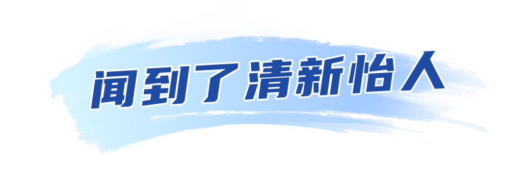 级间十新新啥闻，聚焦台湾准人的新动向与前沿资讯（一），台湾准人新动向与前沿资讯深度解析（一）